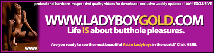 LADYBOYGOLD.COM