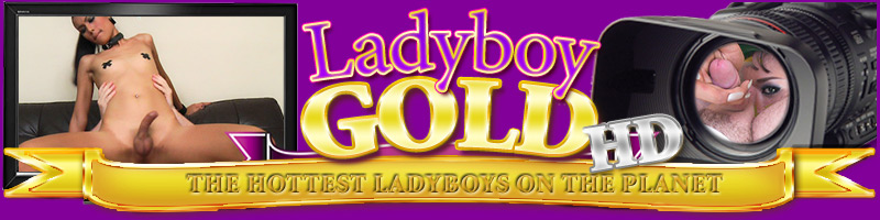 LADYBOYGOLD.COM